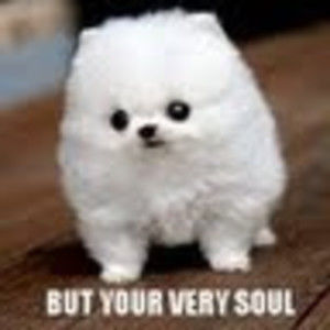 Meet your Posher, William